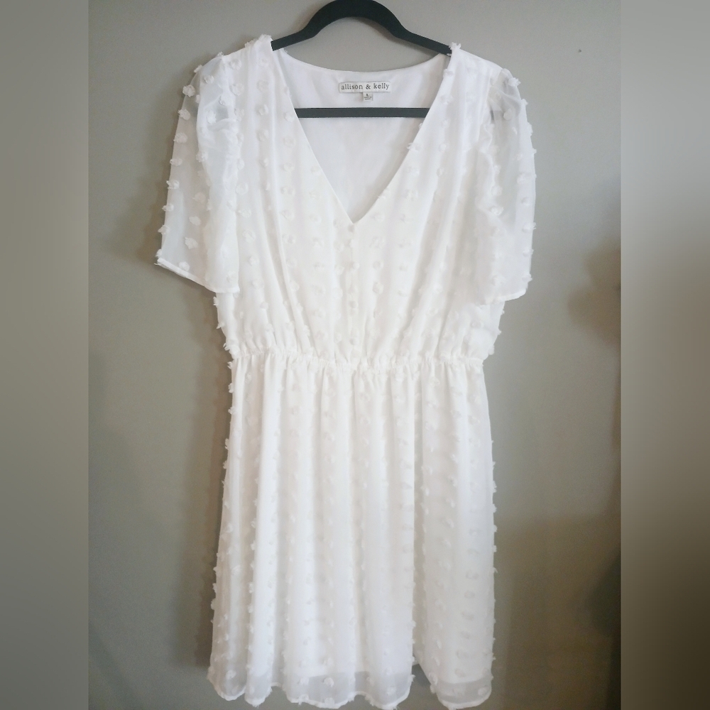 NWOT - Allison & Kelly White Swiss Dot Dress Short Sleeve Lined V-neck Size L
